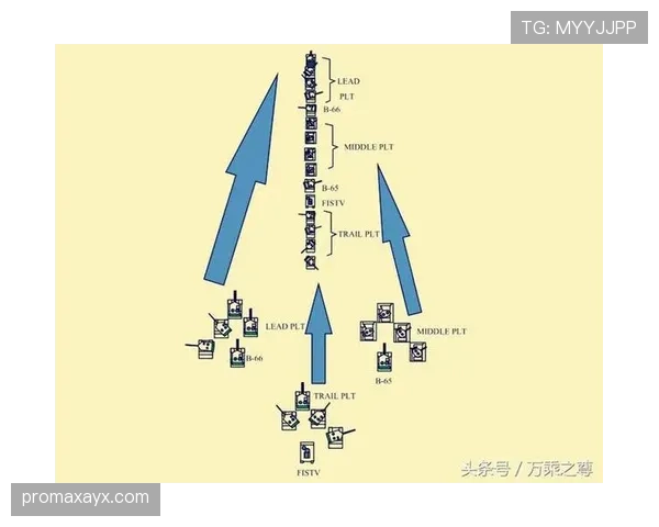 米特罗维奇战术适配性分析：多阵型体系下稳健发挥，效能最大化