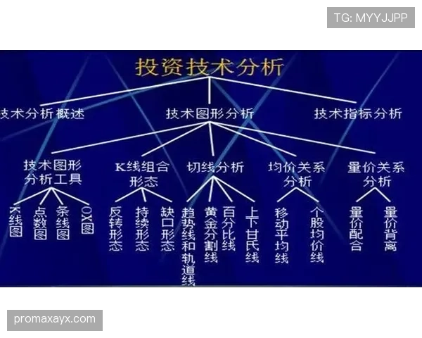 杜埃与谢尔基：技术天赋与实战贡献差距解析