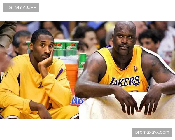 弗拉霍维奇禁区统治力解析：传统9号模板的现代演绎